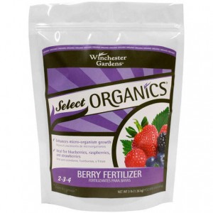 Berry fertilizer SUP